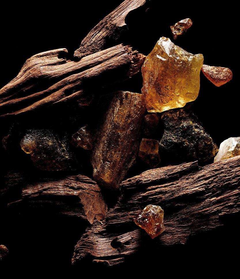 Sacred Wood Woodsy Perfume, 100 ml parfum 
