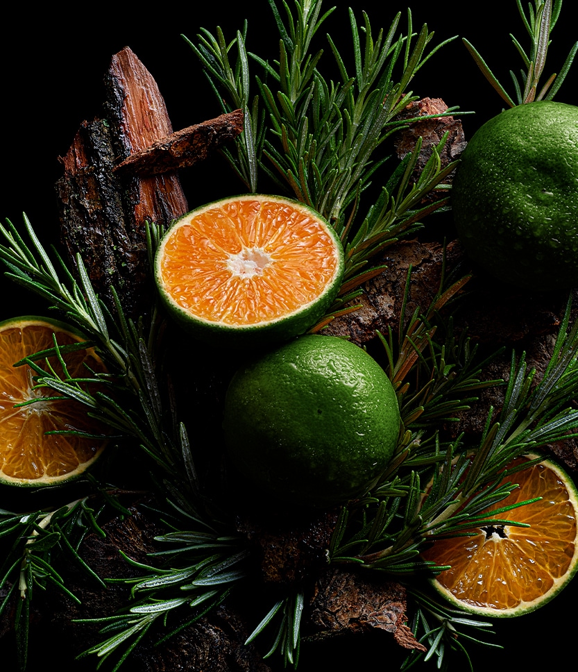 Kologne, shield of protection The Fresh, Recharge 100 ml